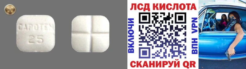 Купить закладки  Сорск  ЛСД экстази ecstasy 